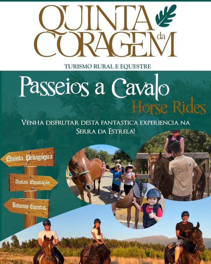 Апартаменти Casa D'Avo Coragem Сейя Екстер'єр фото